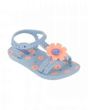 Ipanema Daisy Blue / Pink | NJGDZ-7804