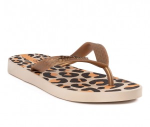 Ipanema Temas Beige / Gold | ASZVN-4958