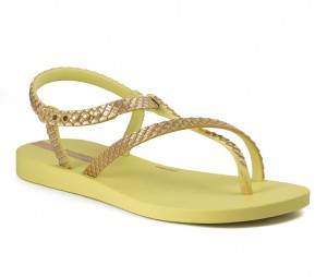 Ipanema Wish Yellow / Gold Yellow | KNXAI-9647