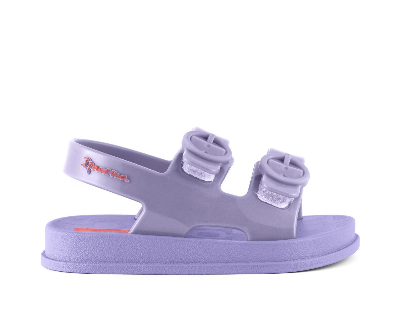 Ipanema Follow Purple / Purple | QVNEP-3204