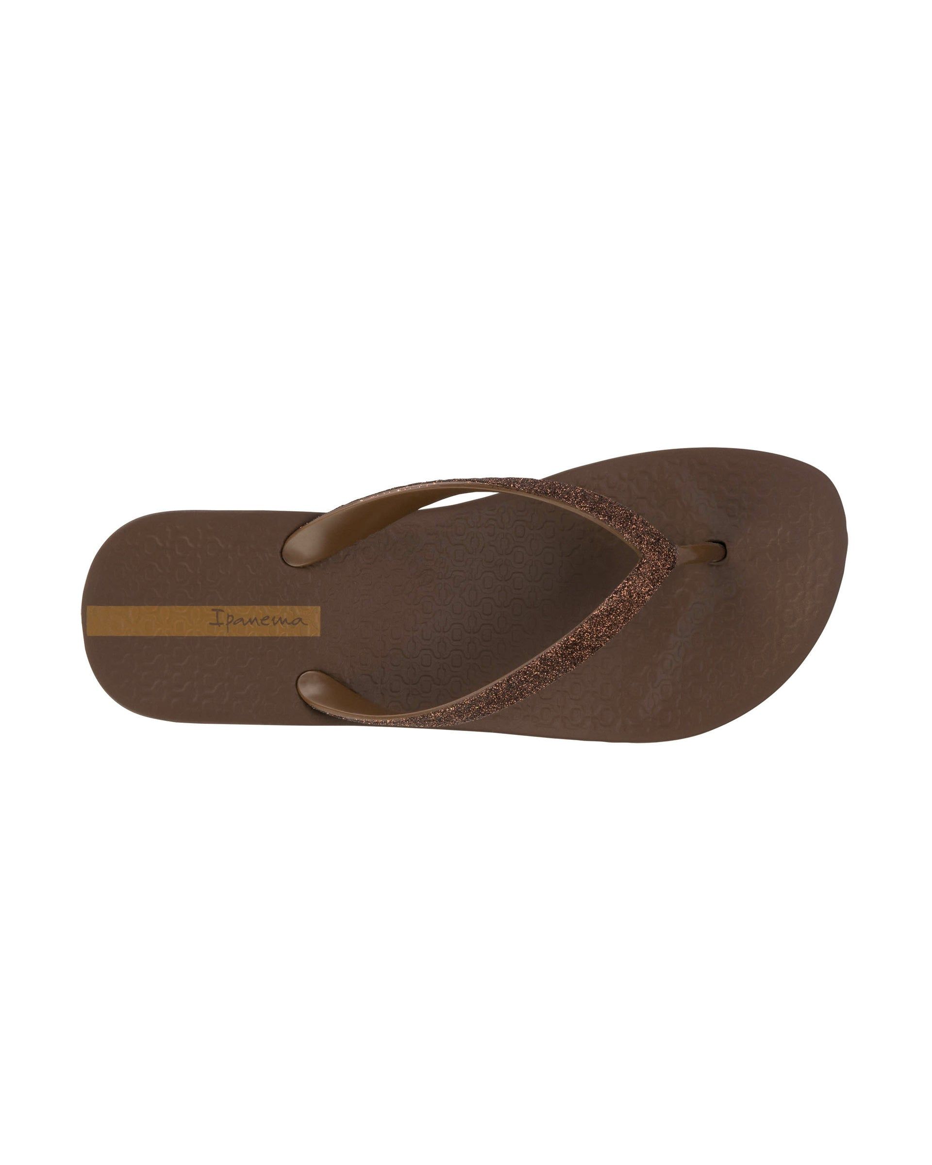 Ipanema Mesh Chic Brown | ZBCPE-1563