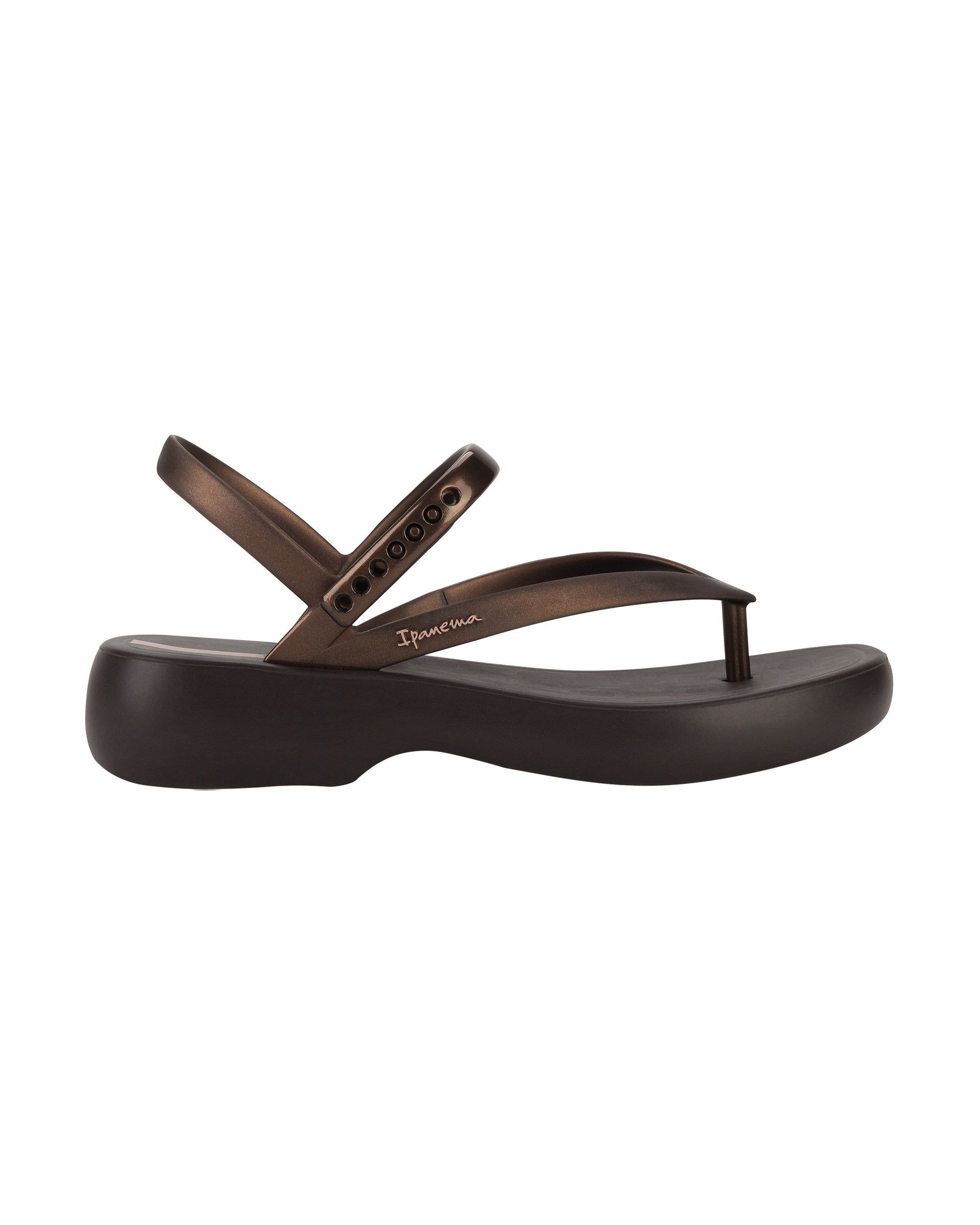 Ipanema Verano Brown / Brown | HZLOE-7984