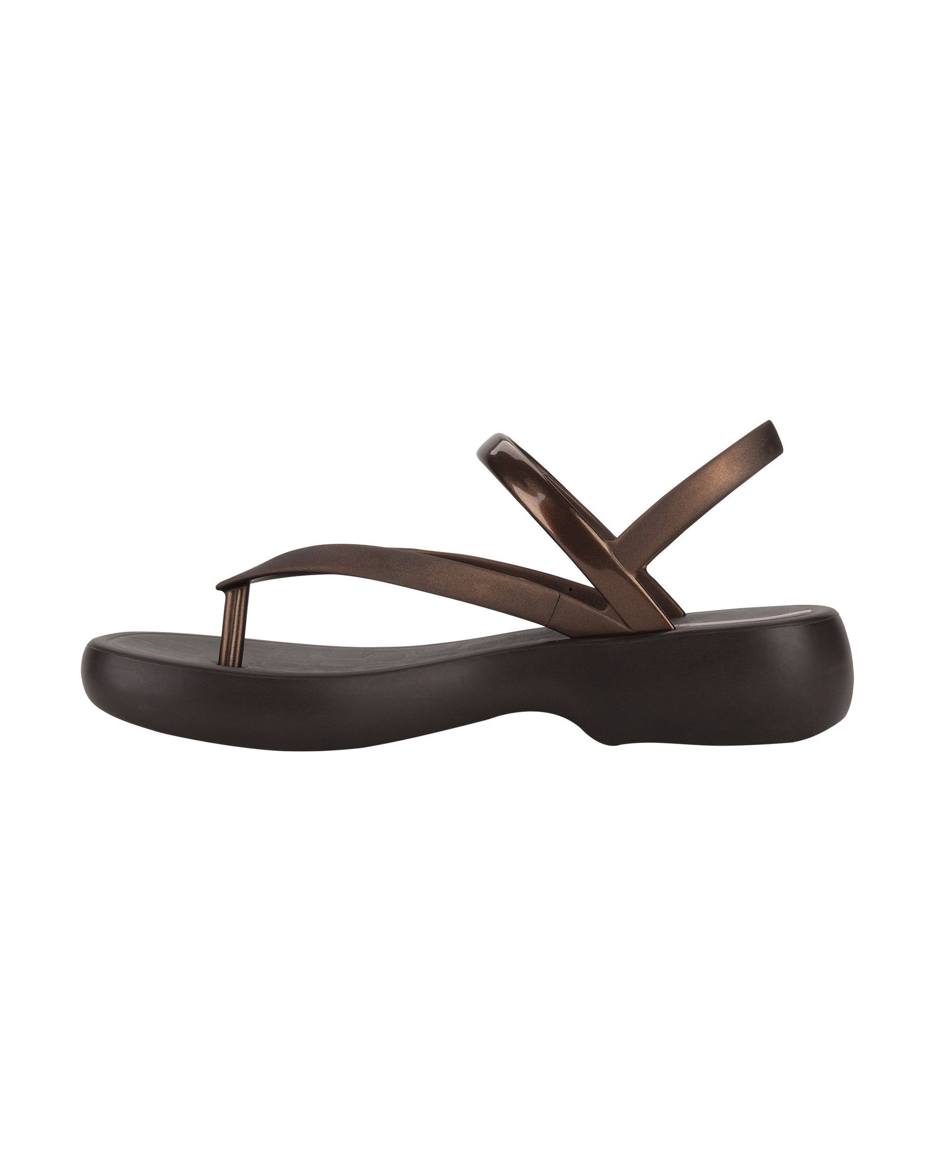 Ipanema Verano Brown / Brown | HZLOE-7984