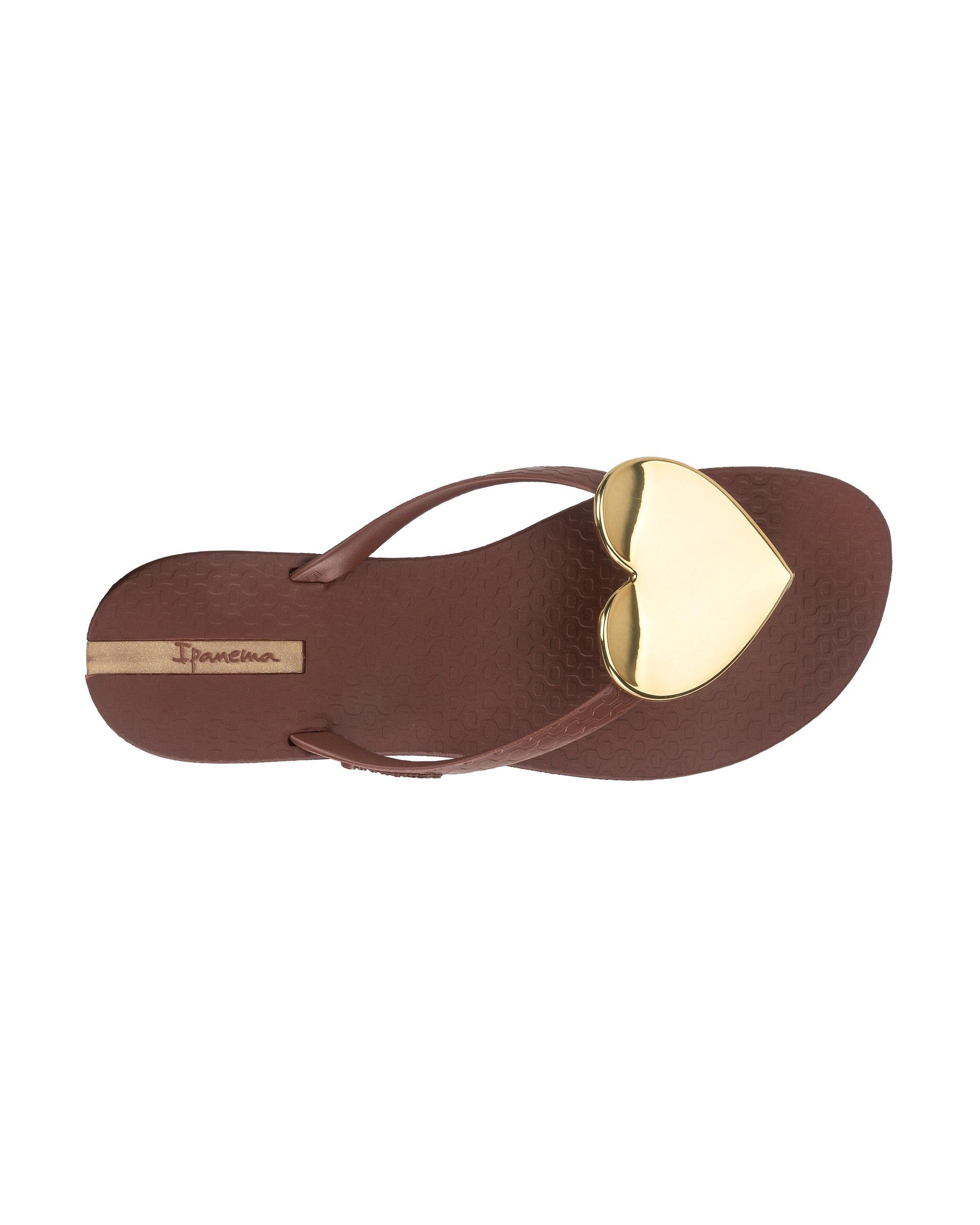 Ipanema Wave Heart Brown / Brown / Gold | XCKTG-0186